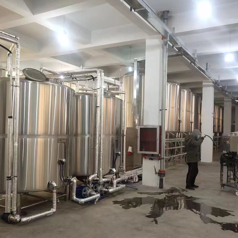 大新精酿啤酒设备